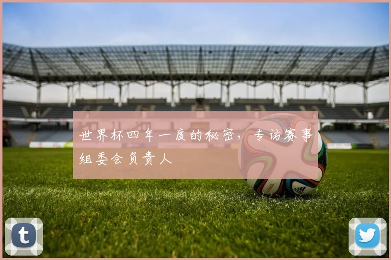 世界杯四年一度的秘密,专访赛事组委会负责人