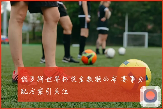 俄罗斯世界杯奖金数额公布 赛事分配方案引关注