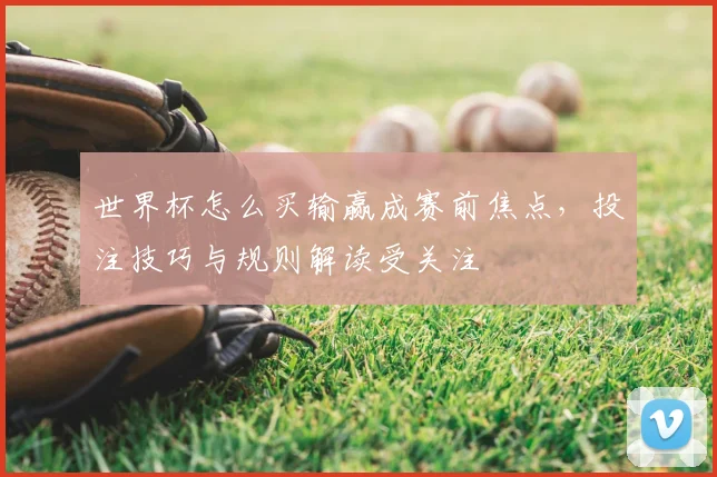 世界杯怎么买输赢成赛前焦点，投注技巧与规则解读受关注