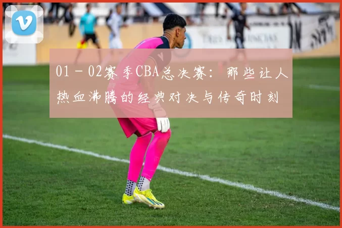 01 - 02赛季CBA总决赛：那些让人热血沸腾的经典对决与传奇时刻