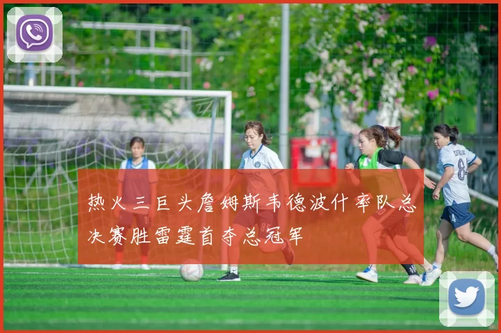 热火三巨头詹姆斯韦德波什率队总决赛胜雷霆首夺总冠军