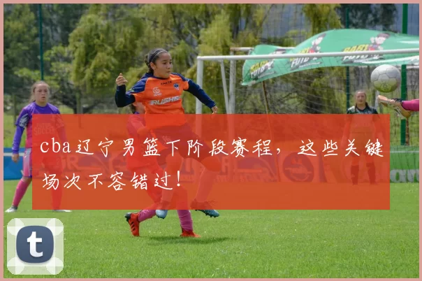 cba辽宁男篮下阶段赛程，这些关键场次不容错过！