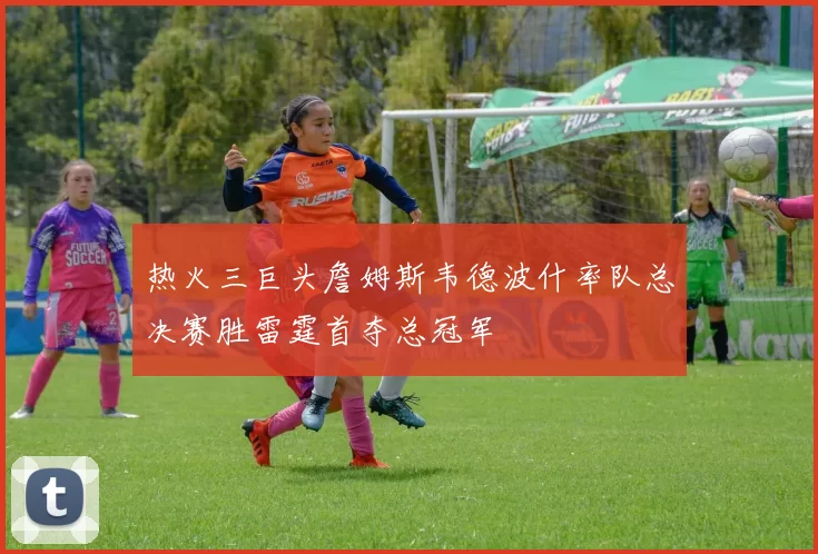 热火三巨头詹姆斯韦德波什率队总决赛胜雷霆首夺总冠军