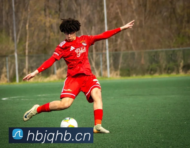 bsports体育直播品牌故事