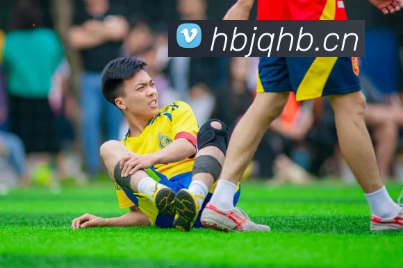 App Interface Preview